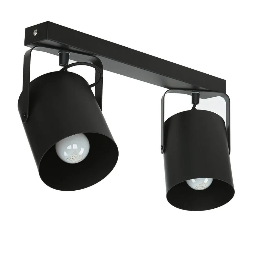 Deckenstrahler Schwarz 2 flmg E27