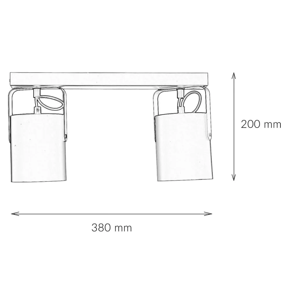 Deckenstrahler Schwarz 2 flmg E27