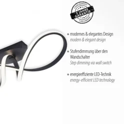 Dimmbare LED Deckenlampe Metall Schwarz 3000 K warmweiß