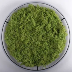 Dimmbare LED Deckenlampe Moos Schwarz 3000 K 28 W