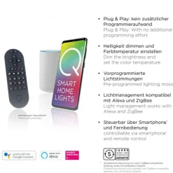 LED Hängelampe Glas in Messing 2-flammig Fernbedienung