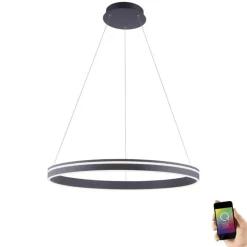 LED Hängelampe Ring Anthrazit Ø79 cm 7000 lm dimmbar