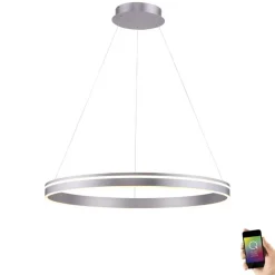 LED Hängelampe Ring in Stahl Ø79 cm 7000 lm dimmbar