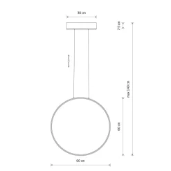 LED Hängelampe Schwarz 3000 K 660 lm Metall Ø 60 cm Ring