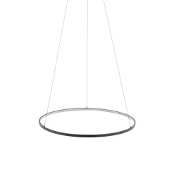LED Hängeleuchte Ring Ø 60 cm Schwarz 2700 K 660 lm Metall