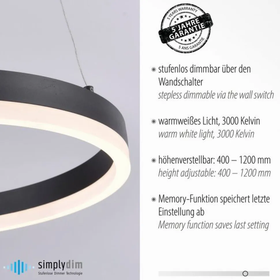 LED Pendelleuchte Anthrazit warmweiß 3000 K Ø40 cm Ring