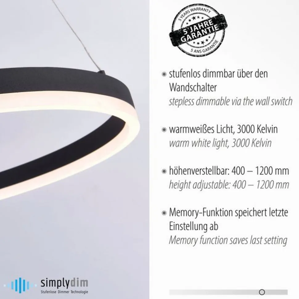 LED Pendelleuchte Anthrazit dimmbar 3000 K Ø80 cm Ring