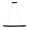 LED Pendelleuchte Anthrazit oval 3000 K 118 cm dimmbar