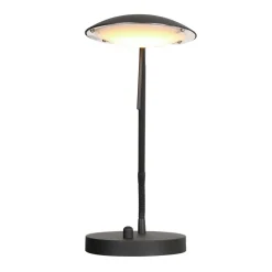 LED Schreibtischleuchte dimmbar Schwarz 46 cm 2700 K