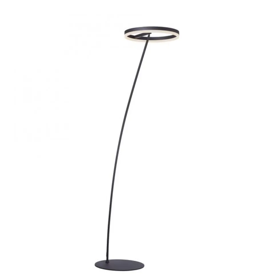 LED Stehlampe Anthrazit dimmbar warmweiß 20 W 215 cm