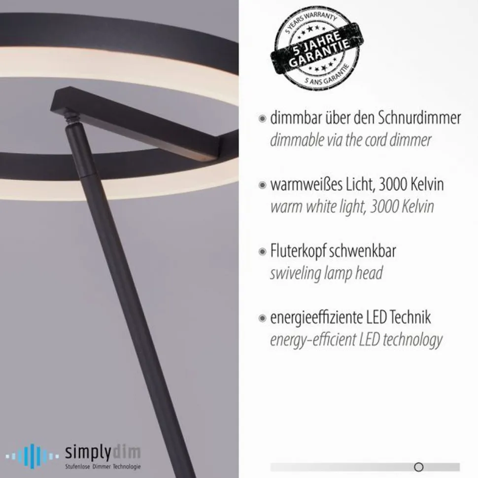LED Stehlampe Anthrazit dimmbar warmweiß 20 W 215 cm