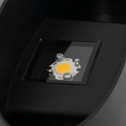 LED Wandspot Up Down Aluminium 10 W Ø17 cm IP54 Schwarz